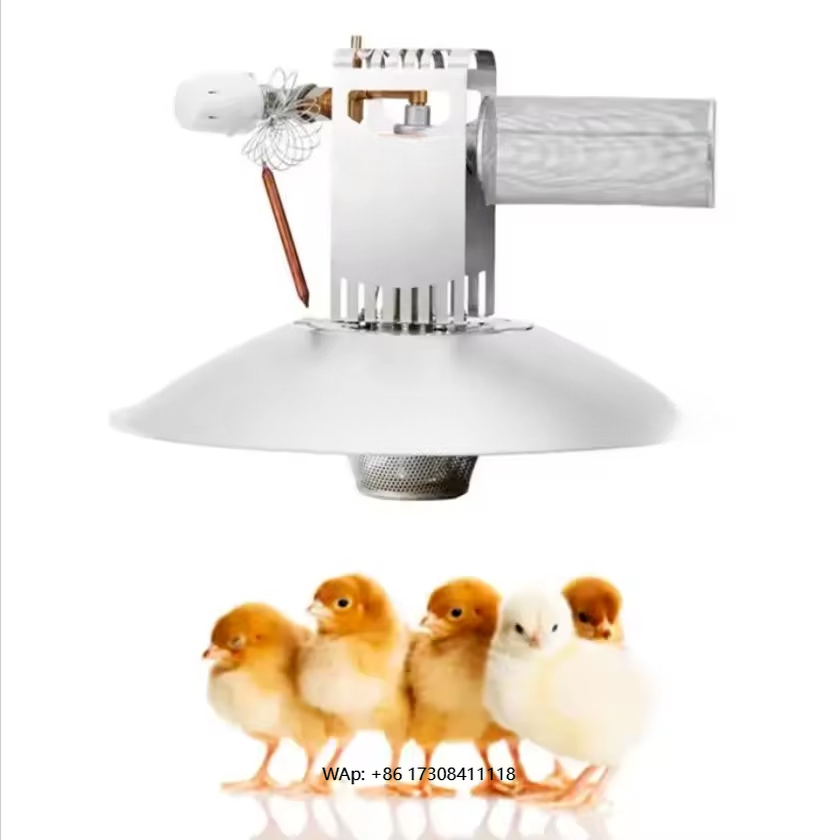 Sports Equipment Air China - High Quality Damley Sunflower China Chicken