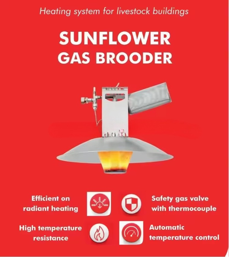 High Quality Damley Sunflower  - đánh giá và giá Sports Equipment Air China